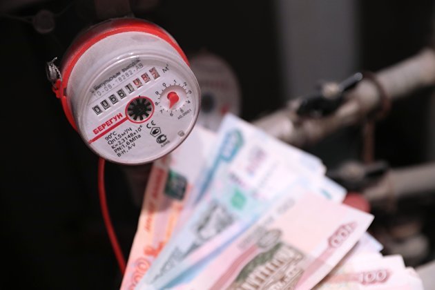 Депутат Госдумы Лантратова предложила разрешить тратить маткапитал на оплату услуг ЖКХ