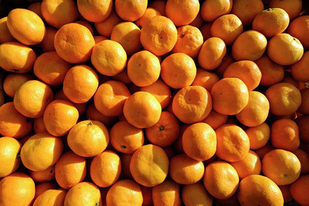 Эксперты: мандаринов в России меньше не станет, несмотря на проблемы поставок в Египте