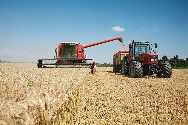 Правительство утвердило экспортную квоту на вывоз зерна в размере 25,5 миллиона тонн