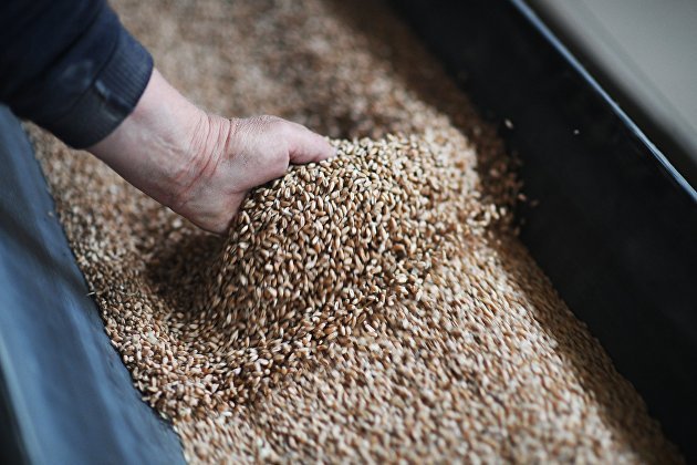 Россельхознадзор принял меры, чтобы некачественная зерновая продукция не попала на рынок