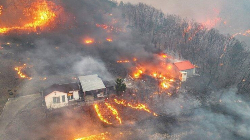 18 человек погибли во время пожара в Южной Корее