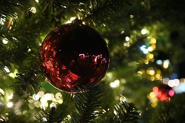 Эксперт Роскачества Поздняков: новогоднюю елку после праздников следует правильно утилизировать