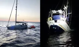 Касатки потопили британскую парусную яхту в Гибралтарском проливе