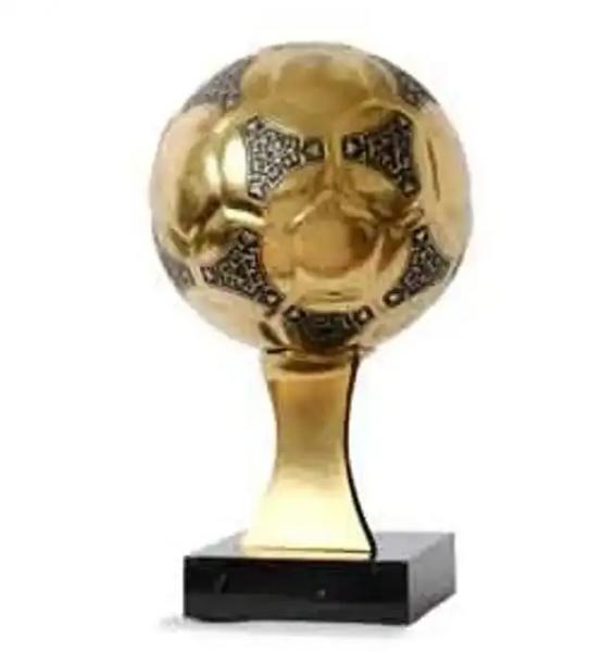 Дети Марадоны потребовали снять с аукциона "Золотой мяч" их отца
