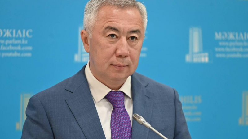 Казахстанцев обяжут декларировать покупки на маркетплейсах - разъяснение Минторговли