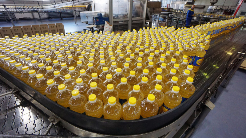 Подсолнечное масло как "вторая нефть": Восточный Казахстан бьёт рекорды по экспорту
